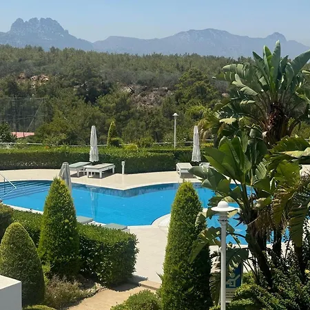 Modern Poolside In Sun Valley Lägenhet